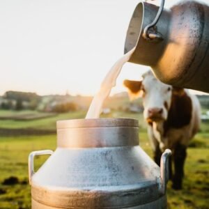 Dairy Products