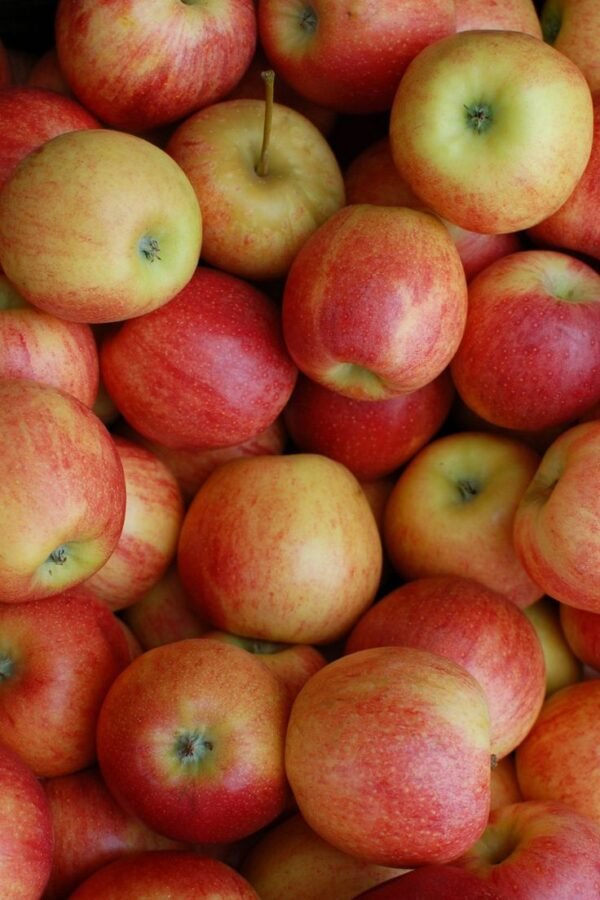 Red Shimla Apple - Image 2