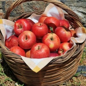 Red Shimla Apple