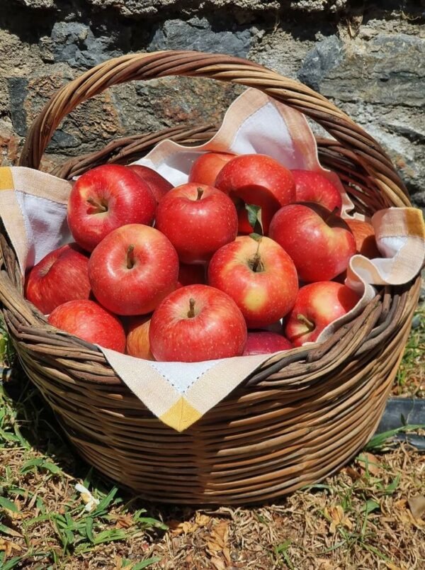 Red Shimla Apple